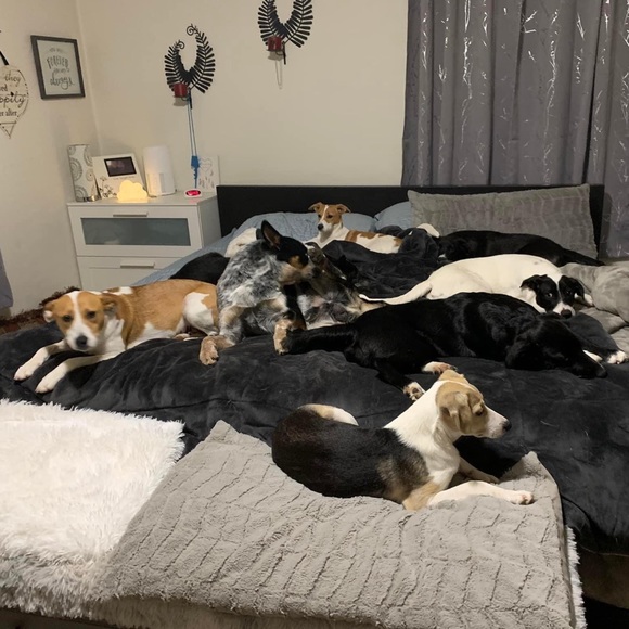 Guess what?!?! We are live live!!! - Picture 11 of 16